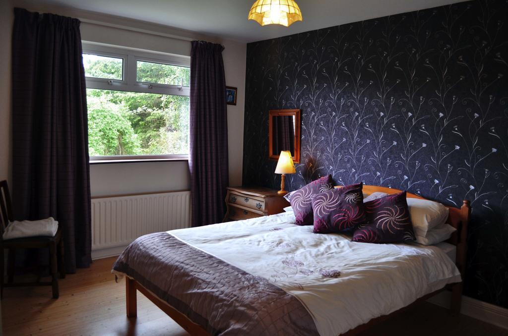 Mellottes B&B Cornamona エクステリア 写真